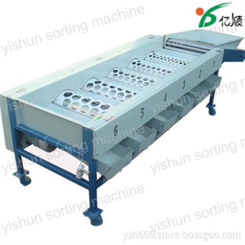 Orange size sorting machine Made in china